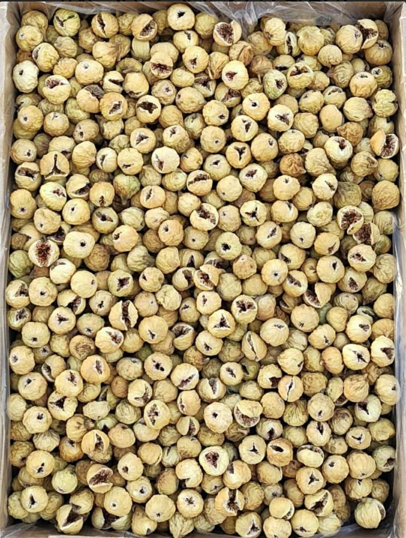 خرید انجیر دستچین و صدیک سایز متوسط